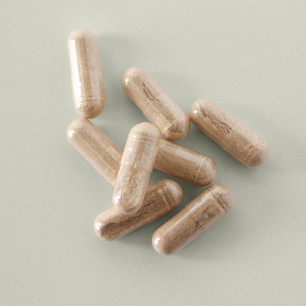 Elvou Female Formula